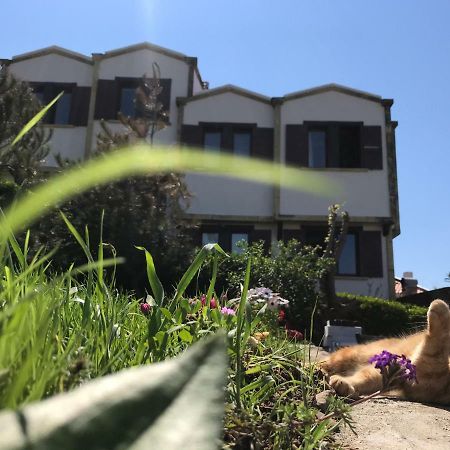 Apollon Hotel Bozcaada Ngoại thất bức ảnh