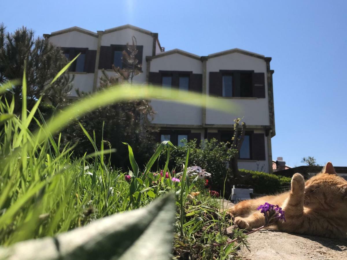 Apollon Hotel Bozcaada Ngoại thất bức ảnh